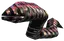 Leech