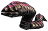Leech