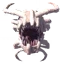 Bonemaw Trophy