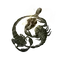 Elden-ring lightning-scorpion-charm.webp