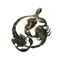 Elden-ring lightning-scorpion-charm.webp