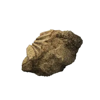 Ruin Fragment