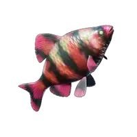 Emberfin