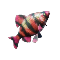 Emberfin