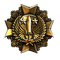 Victor's Order of Aggression