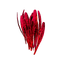 Saffron