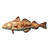 Cooked Cod