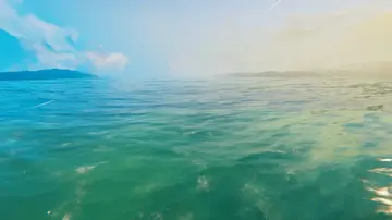 Ocean