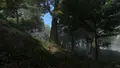 Revelwood
