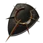 Shield of Light