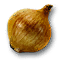 Onion