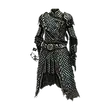 Dragon's Dogma 2 Godsbeast Scalecoat.webp