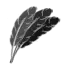 Feathers