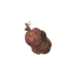 Dragon's Dogma 2 Princess Harspud.webp