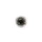 Elden-ring broken-rune.webp