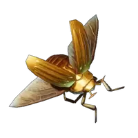Scarab