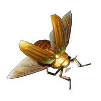 Scarab
