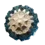 Sunpiercer Shield