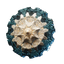 Sunpiercer Shield