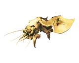 Seeker Brood