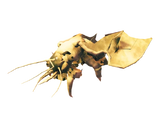 Seeker Brood