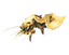 Seeker Brood