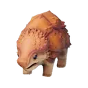 Baby Dune Armadillo
