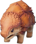 Baby Dune Armadillo