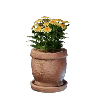 Medium Yellow Flower Pot