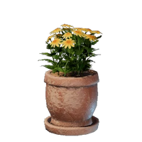 Medium Yellow Flower Pot