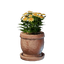 Medium Yellow Flower Pot