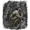 Elden-ring ash-of-war-raptor-of-the-mists.webp
