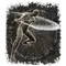 Elden-ring ash-of-war-spinning-slash.webp
