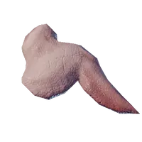 Raw Bird Meat