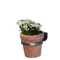 Small White Wall Flower Pot