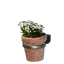 Small White Wall Flower Pot