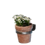 Small White Wall Flower Pot