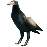 Crow