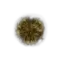 Elden-ring golden-rune-11.webp