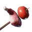 Raw Meat and Tomato Skewer