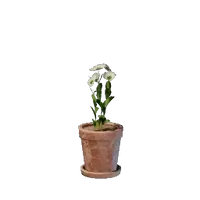 Tiny White Flower Pot