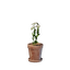 Tiny White Flower Pot