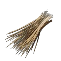 Capybara Bristles