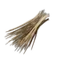 Capybara Bristles