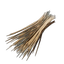 Capybara Bristles
