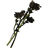 Tundra Cotton