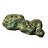 Rot Scale