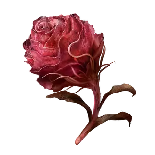 Scarlet Bud