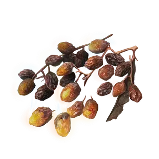 Sweet Raisin