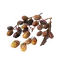 Elden-ring sweet-raisin.webp